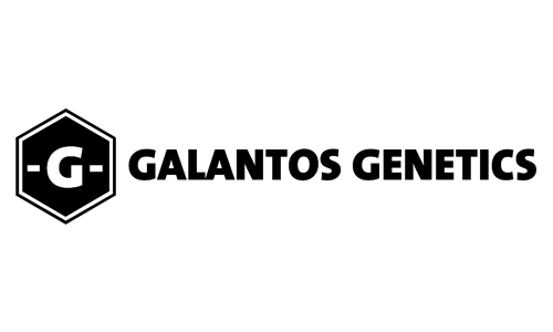 Logos-Kunden_0004_galantos